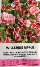 Sweet Pea Wiltshire Ripple Seeds